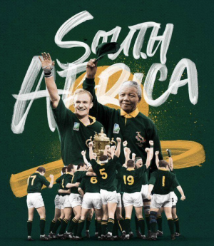 springbok-7 Website Design Consultation